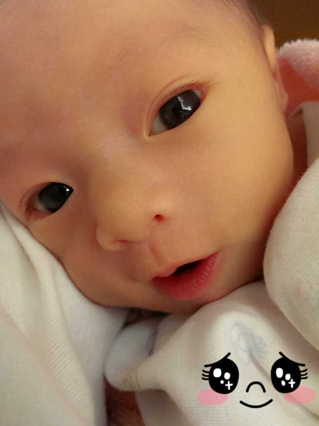 我台湾人，在东莞走过大湾区的故事，这是我生命里的宝藏