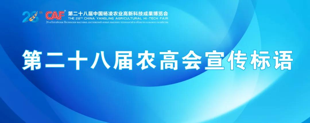 中英俄三语交流,中英俄三语播音