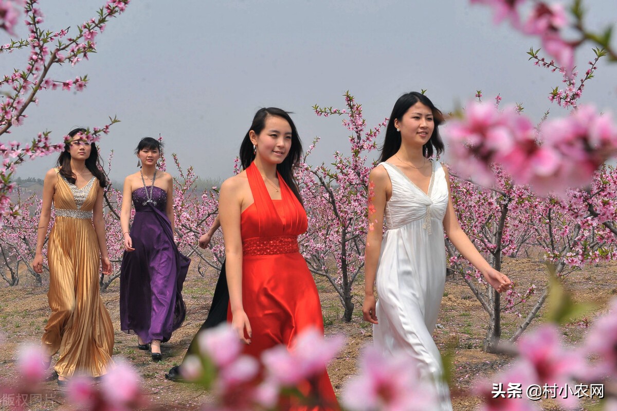 新农村创业适合做的几个生意项目,乡镇致富门路500条免费阅读