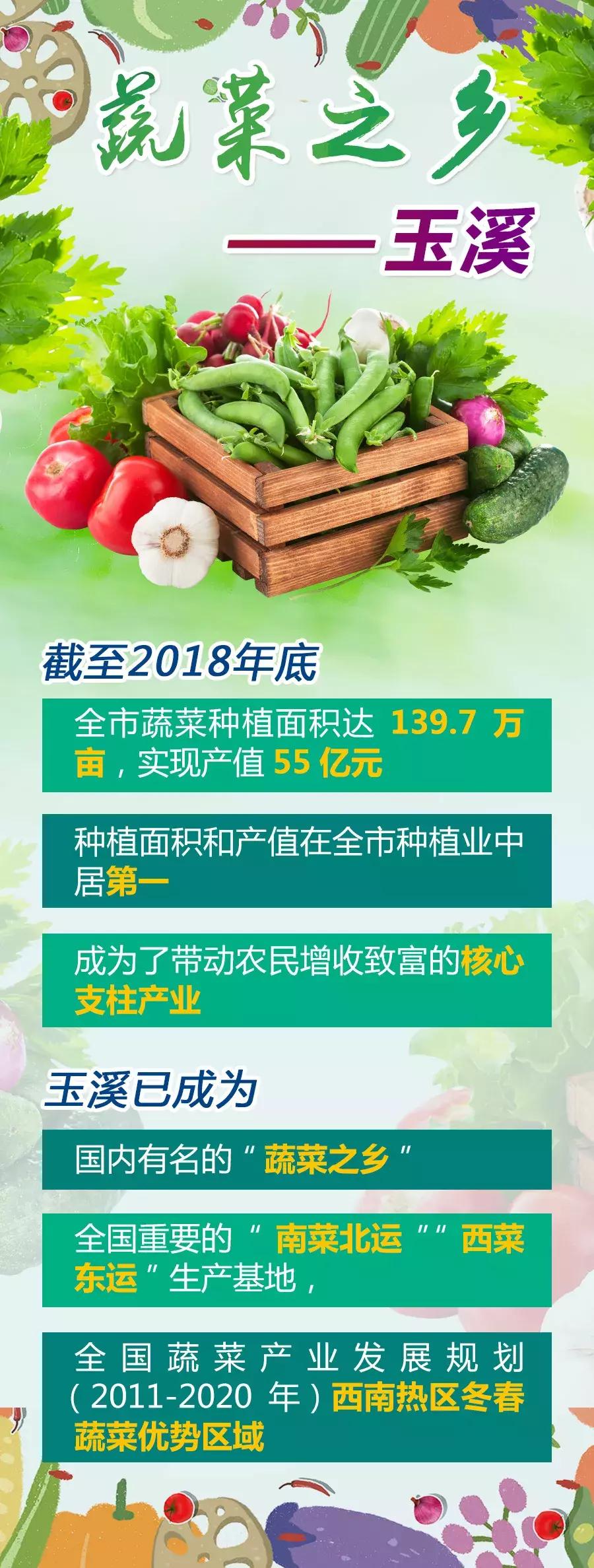 云南玉溪市蔬菜种植基地,玉溪通海蔬菜种植基地