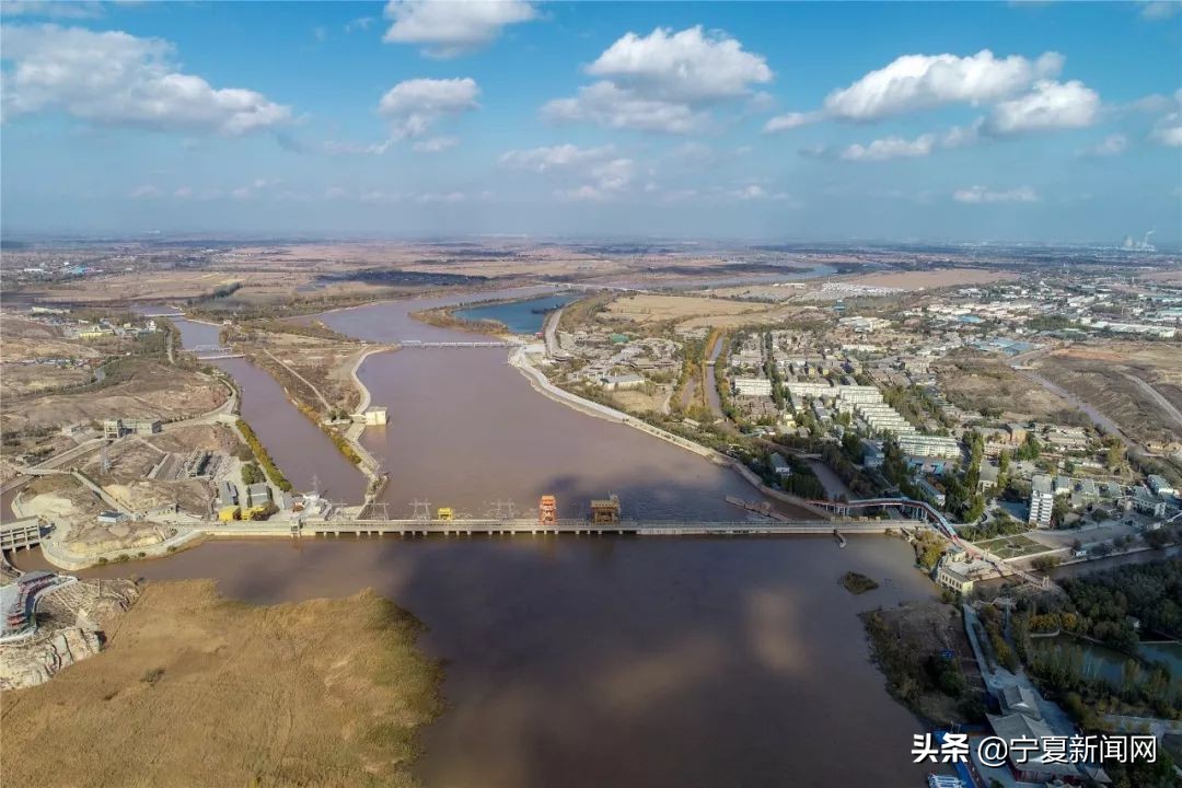 青铜峡鸟岛介绍,青铜峡鸟岛自然保护区能进吗