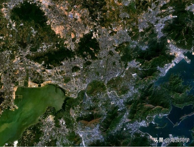 深圳是一座低调的城市,深圳一个充满活力的城市