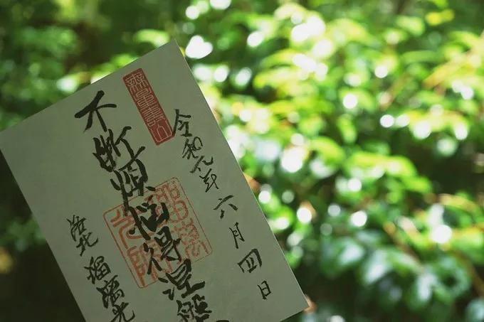 不一样的大阪三日游，瑠璃一束光，值得一来再来