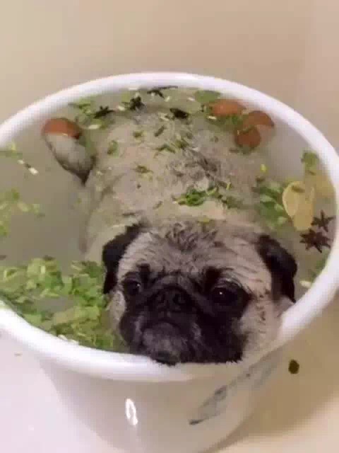 燕窝真的有传说中的那么神奇吗,燕窝的秘密大揭秘