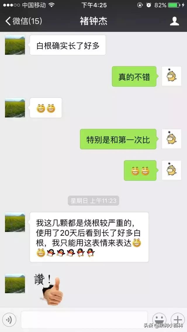 作物的根系好不好,直接决定作物的产量,柑橘尤其如此