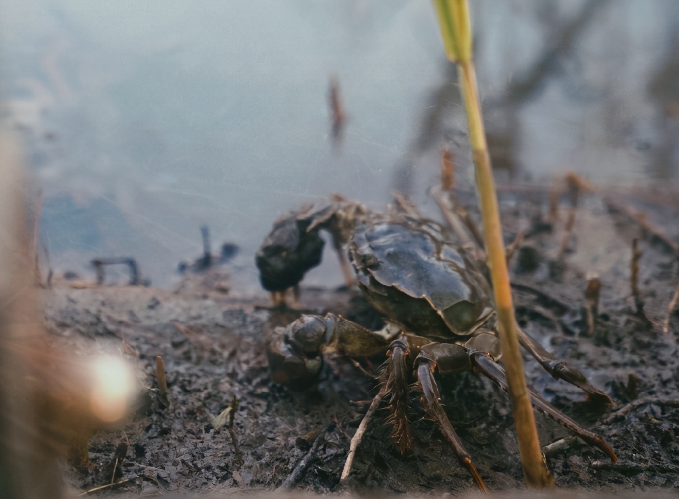 沙家浜一日游好去处,沙家浜游玩推荐