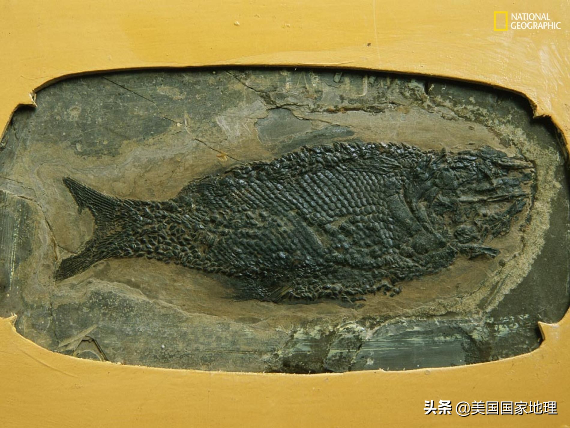 为什么两岁多的小孩得癌症,为什么小孩也得癌症