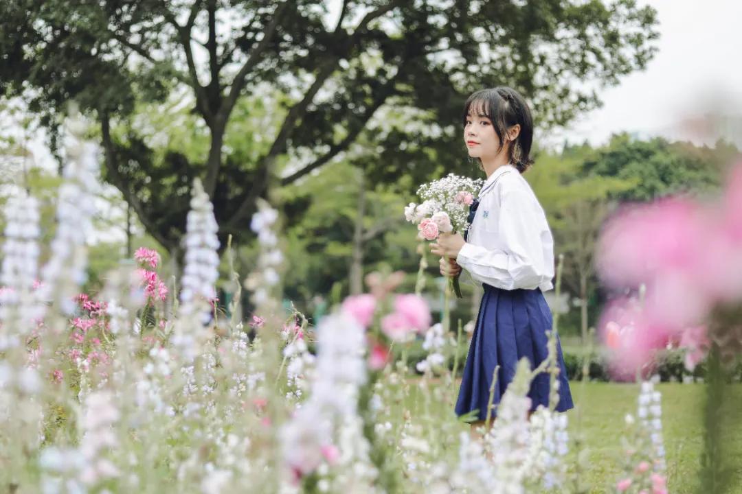 明治白桃乌龙雪糕盒装多少钱,明治雪糕最新款