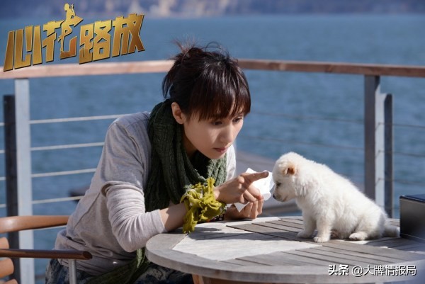 徐峥黄渤喜剧电影免费大全,囧途徐峥黄渤完整版