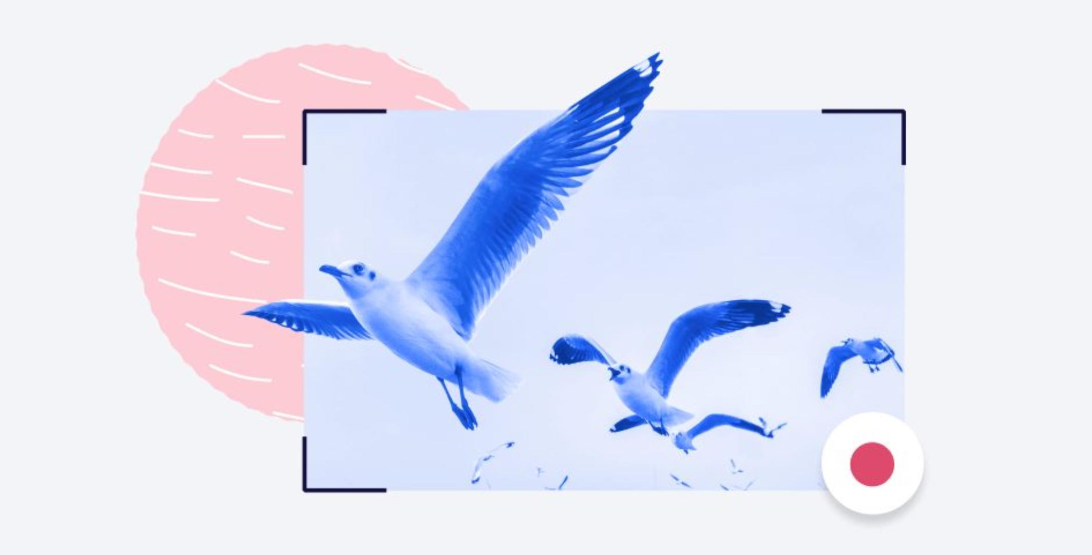 windows屏幕录制软件,windows屏幕录制