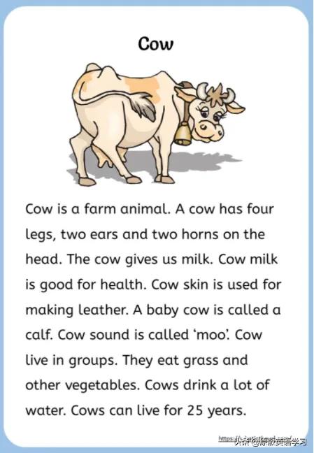 英文原版入门阅读,英文原版阅读精读课becoming