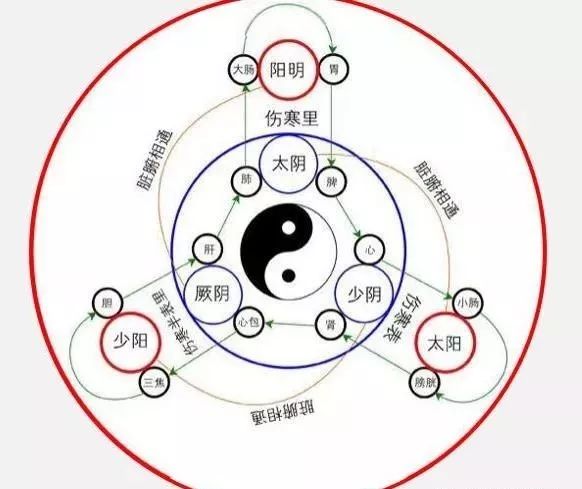 带你学会六经（太阳、阳明、少阳、太阴、少阴、厥阴），简单好学