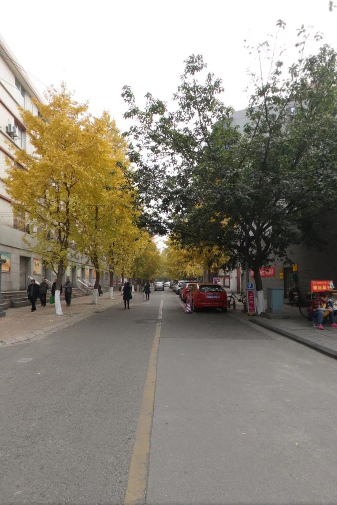 成都即将建成的超级地标,成都东安新城300米地标