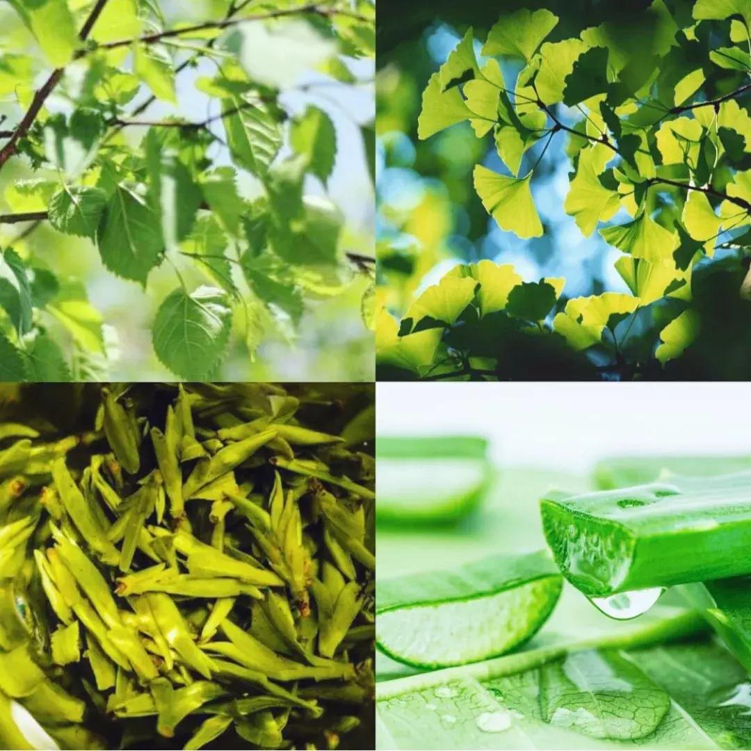 韩国春雨面膜哪款最好用,韩国春雨面膜哪种好用