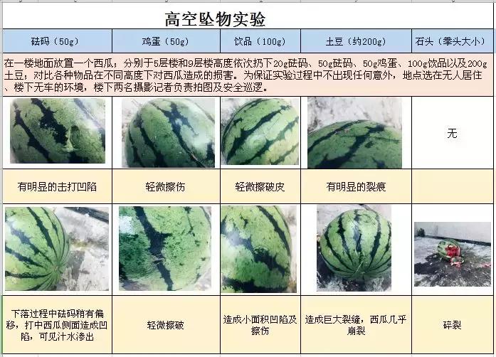 高处抛物实验,高空抛物的实验案例
