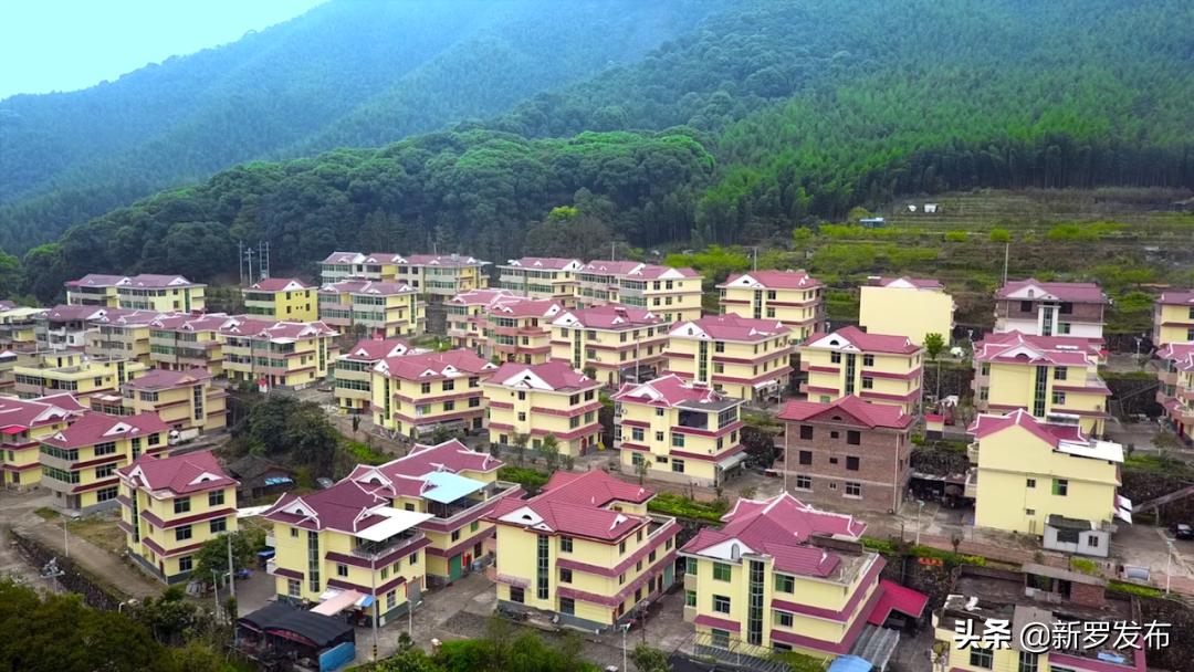 山水园间，心系洋畲