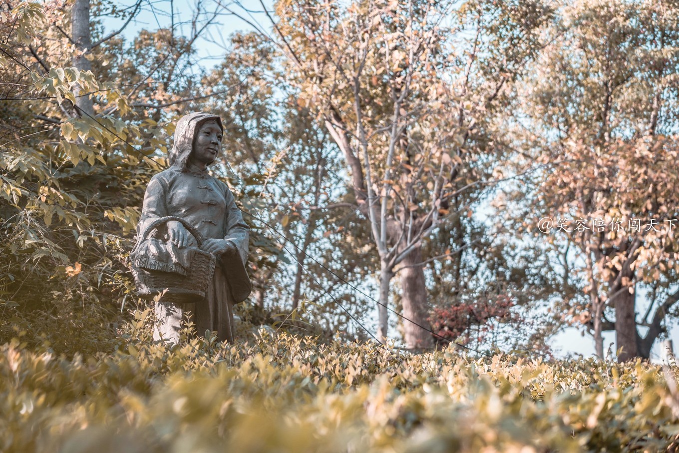 江南小众古镇视频,江南水乡小众又出名