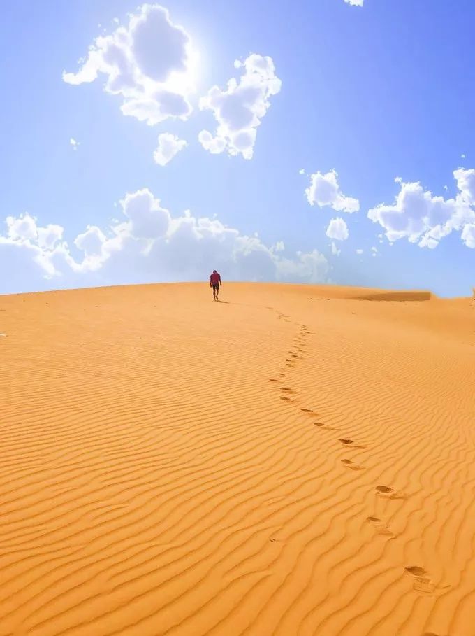 芽庄出发去胡志明,胡志明美奈大叻游