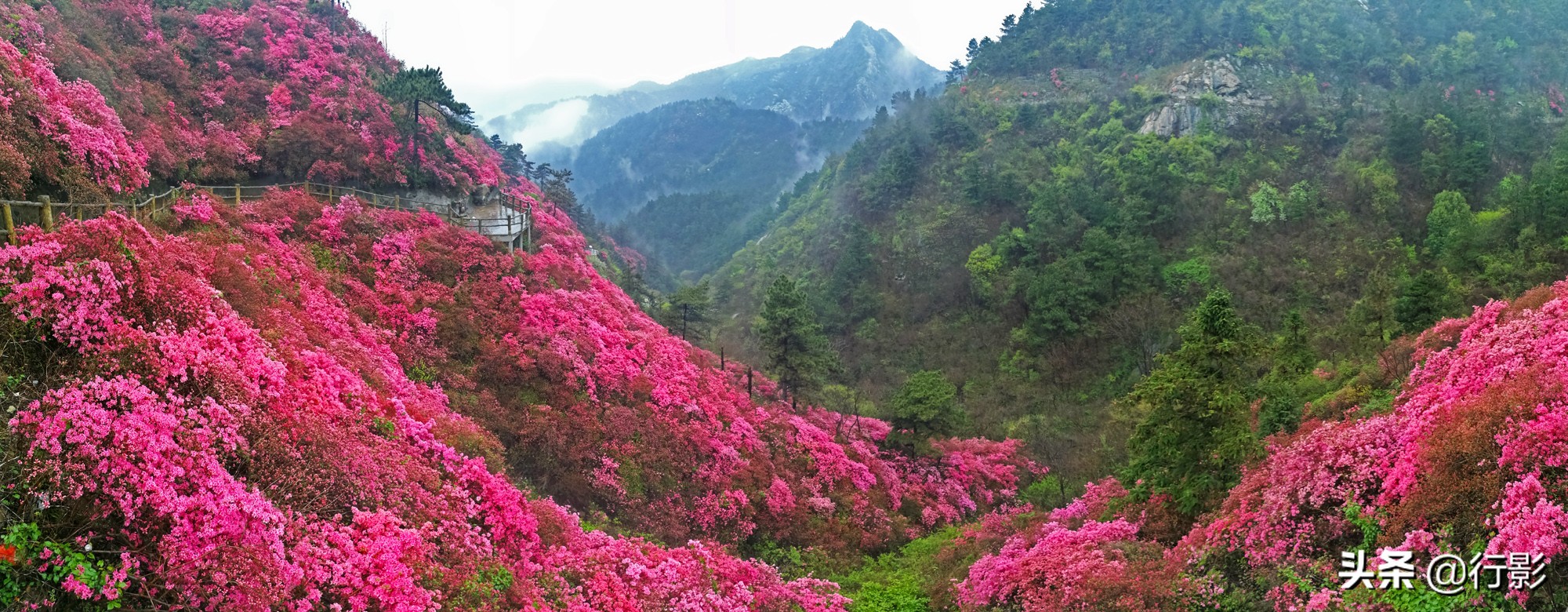 武汉云雾山风景区有什么好玩的,武汉云雾山游玩攻略