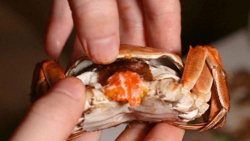 深圳丶中天美景华美达酒店，人均64豪华自助餐任性吃！性价比爆棚