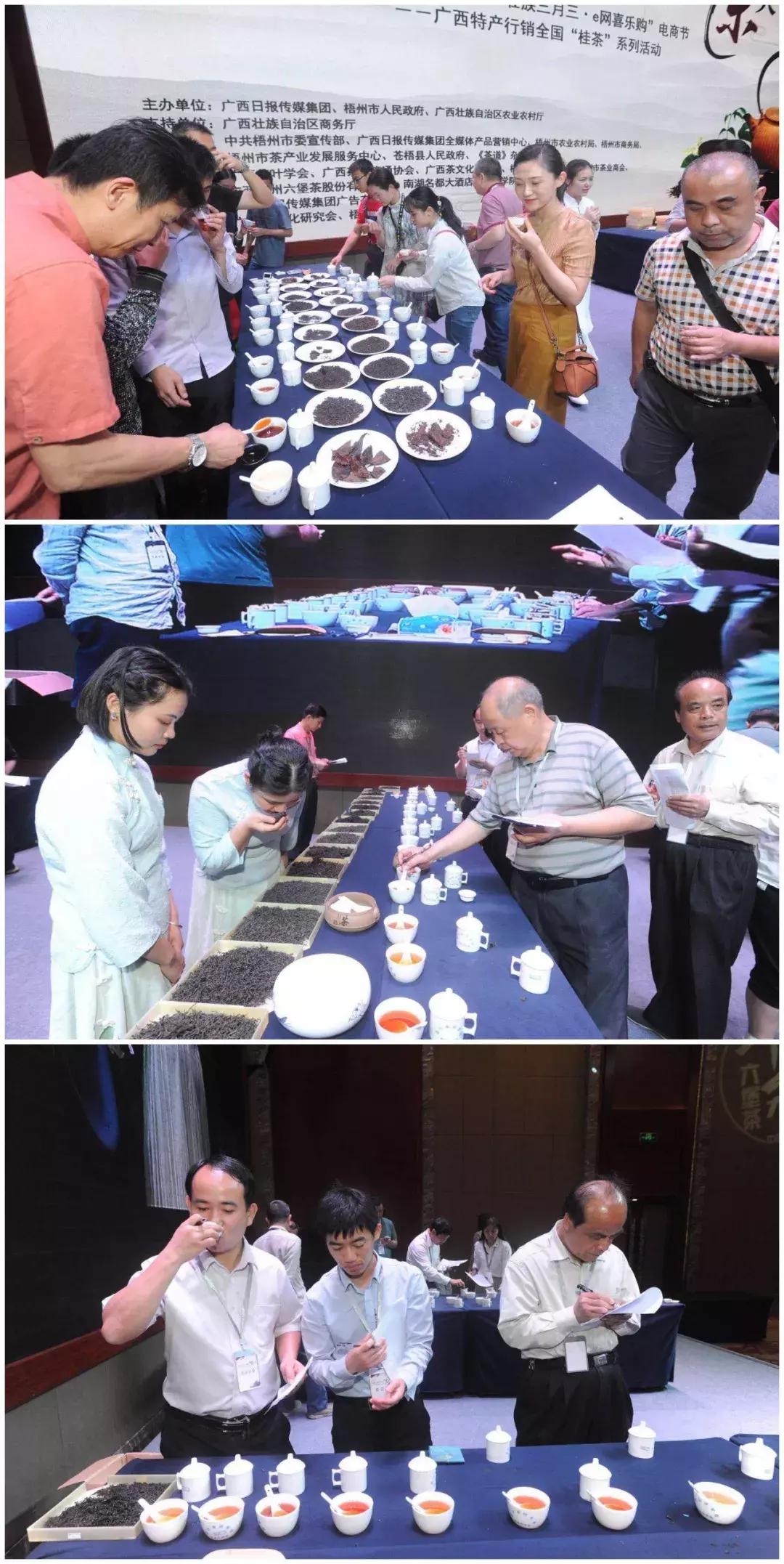 三鹤杯2024年梧州六堡茶斗茶大赛,2022年梧州六堡茶民间斗茶大赛