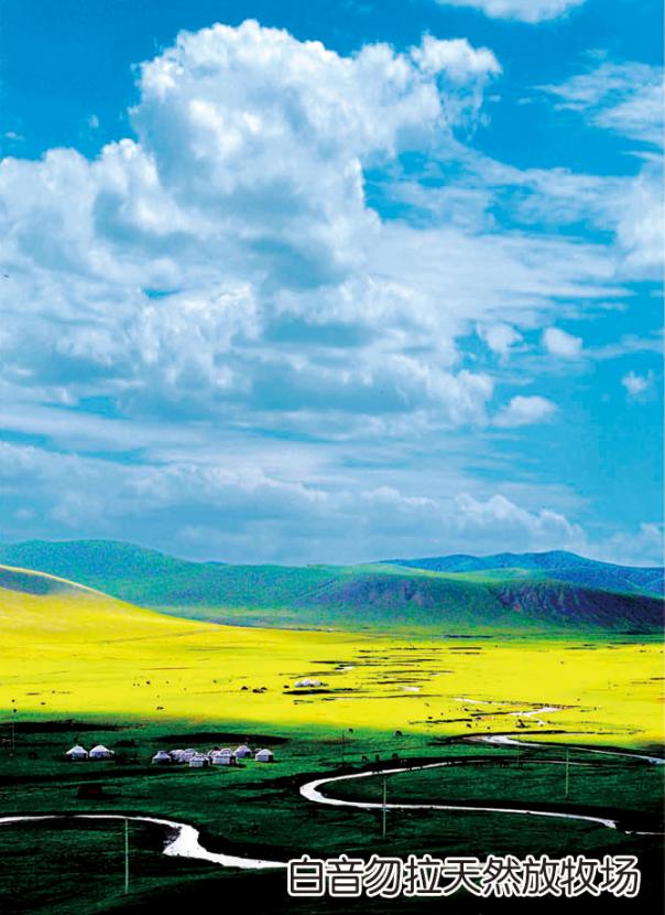 投资兴业沃土蕴藏无限商机——了解一下巴林左旗