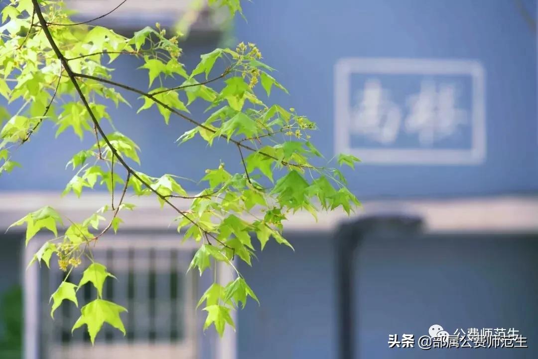 在机会和遗憾中的招聘之路（应聘经验分享系列）