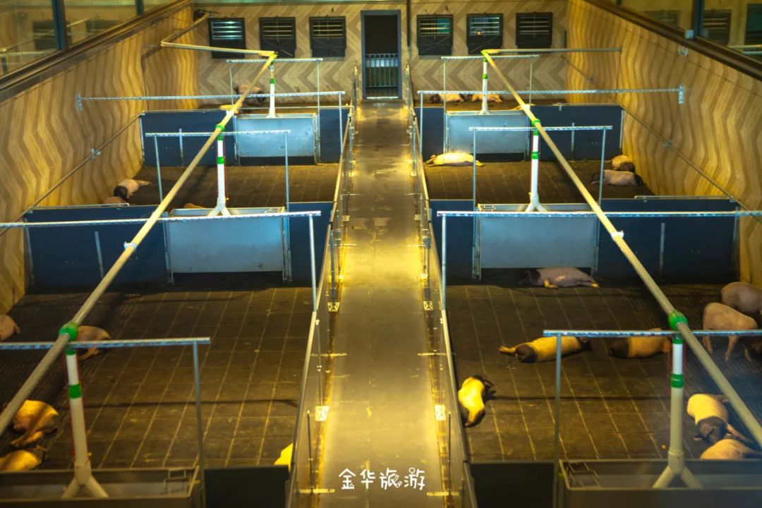 藏不住了!这个刷爆朋友圈的地方,竟然有100多个网红打卡点,手残*党**也能拍出大片!金华市区出发仅0.5h直达!