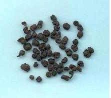 燥湿解表的中药有哪些,滋阴清热利湿中药