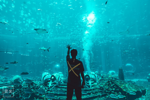 坐轮船多少钱三亚,去三亚坐轮渡7座车多少钱