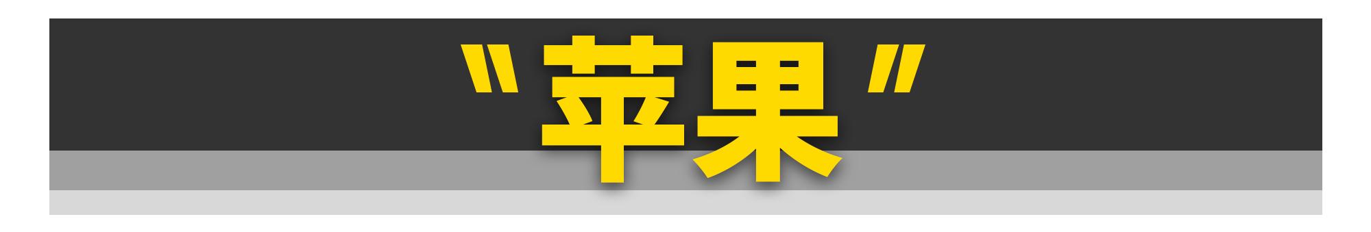 鎵嬫満鍘傚晢閫犺溅,鎵嬫満鍘傚晢涓轰綍璺ㄧ晫閫犺溅