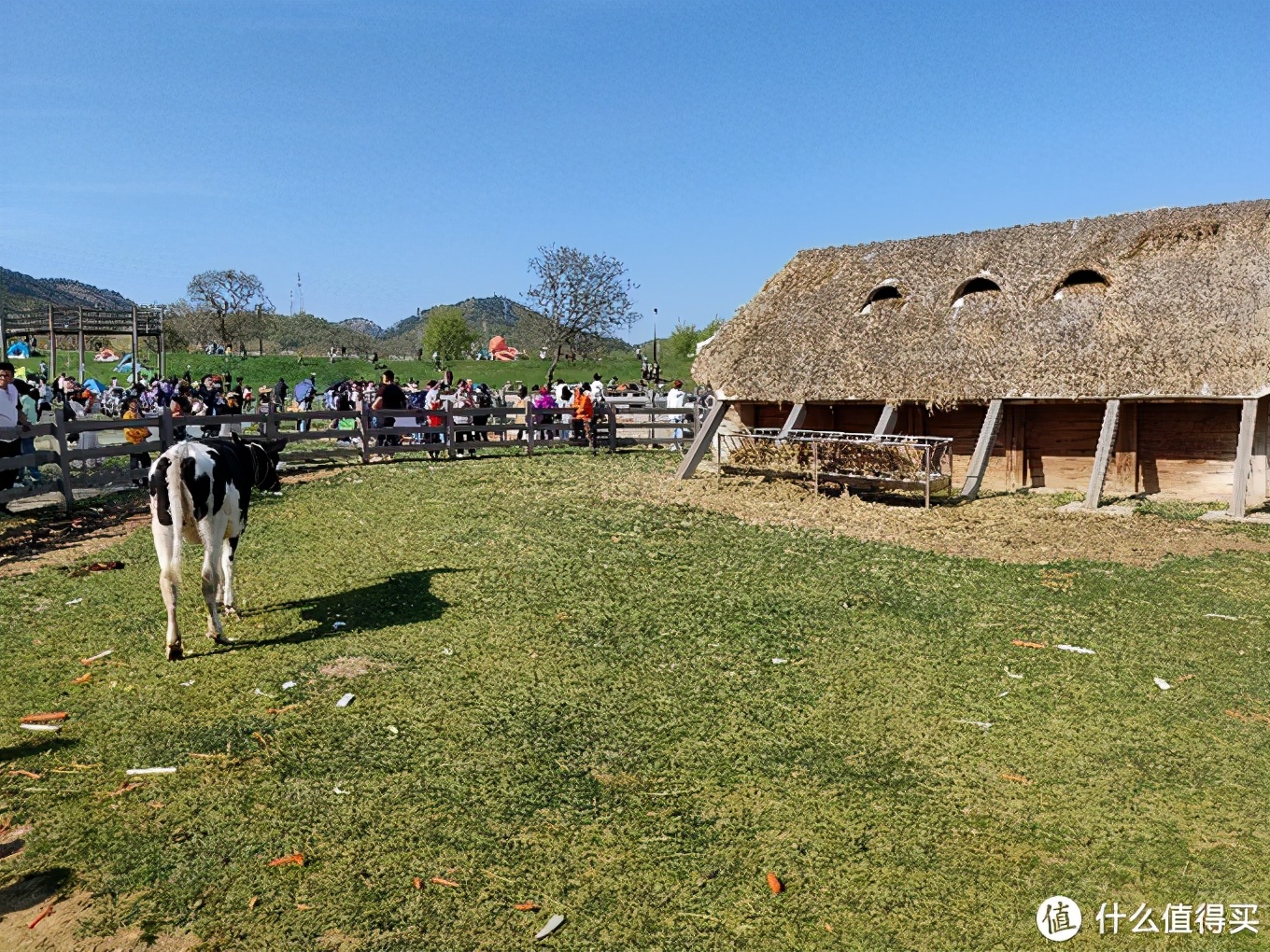五一大连三寰牧场,大连三寰牧场旅游攻略