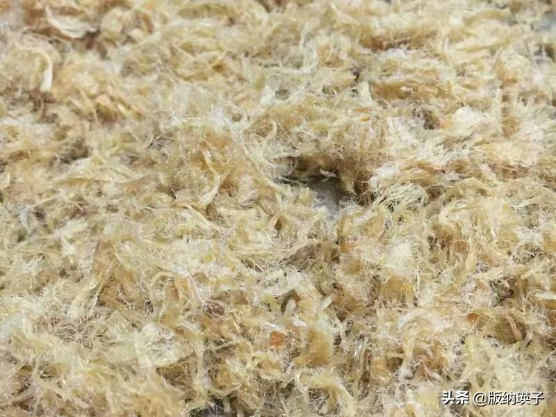 自制肉松怎么才能蓬松,如何做出松软拉丝的肉松