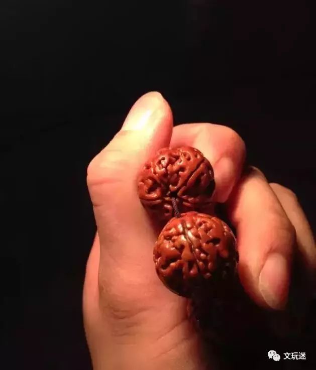 菩提手串长毛发霉有危害,菩提手串长虫子对我们有什么危害