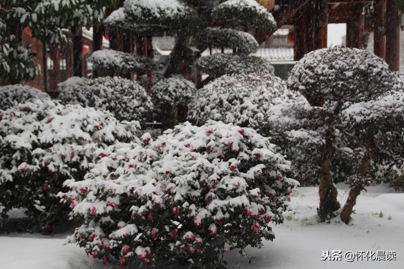 一场雪惊艳了一座城视频,一场雪激发了多少创造力
