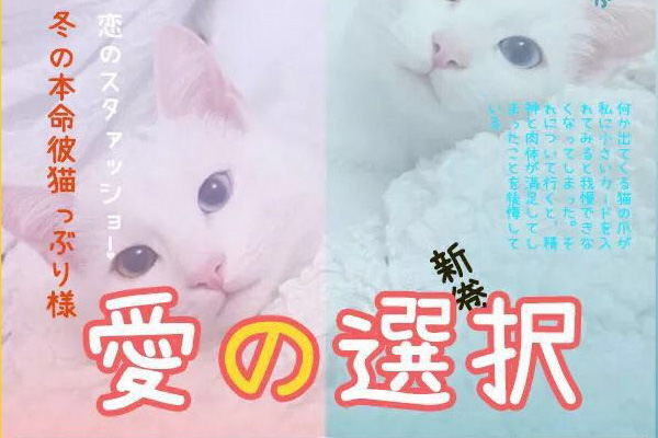 免费商用英文字体100款,英文可以免费商用的字体大全