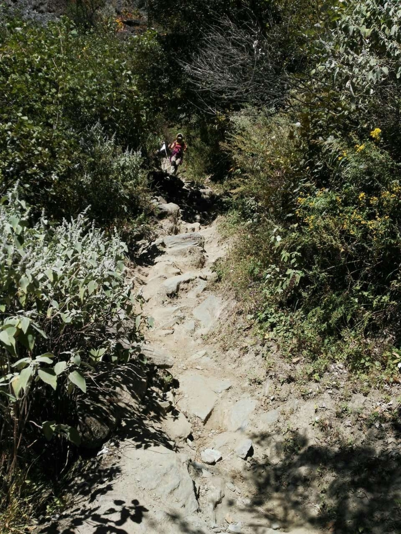 云南虎跳峡徒步线路初级,虎跳峡徒步28道弯