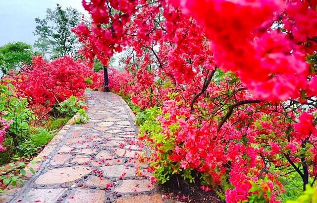 西泰山是什么样的,西泰山为啥叫西泰山