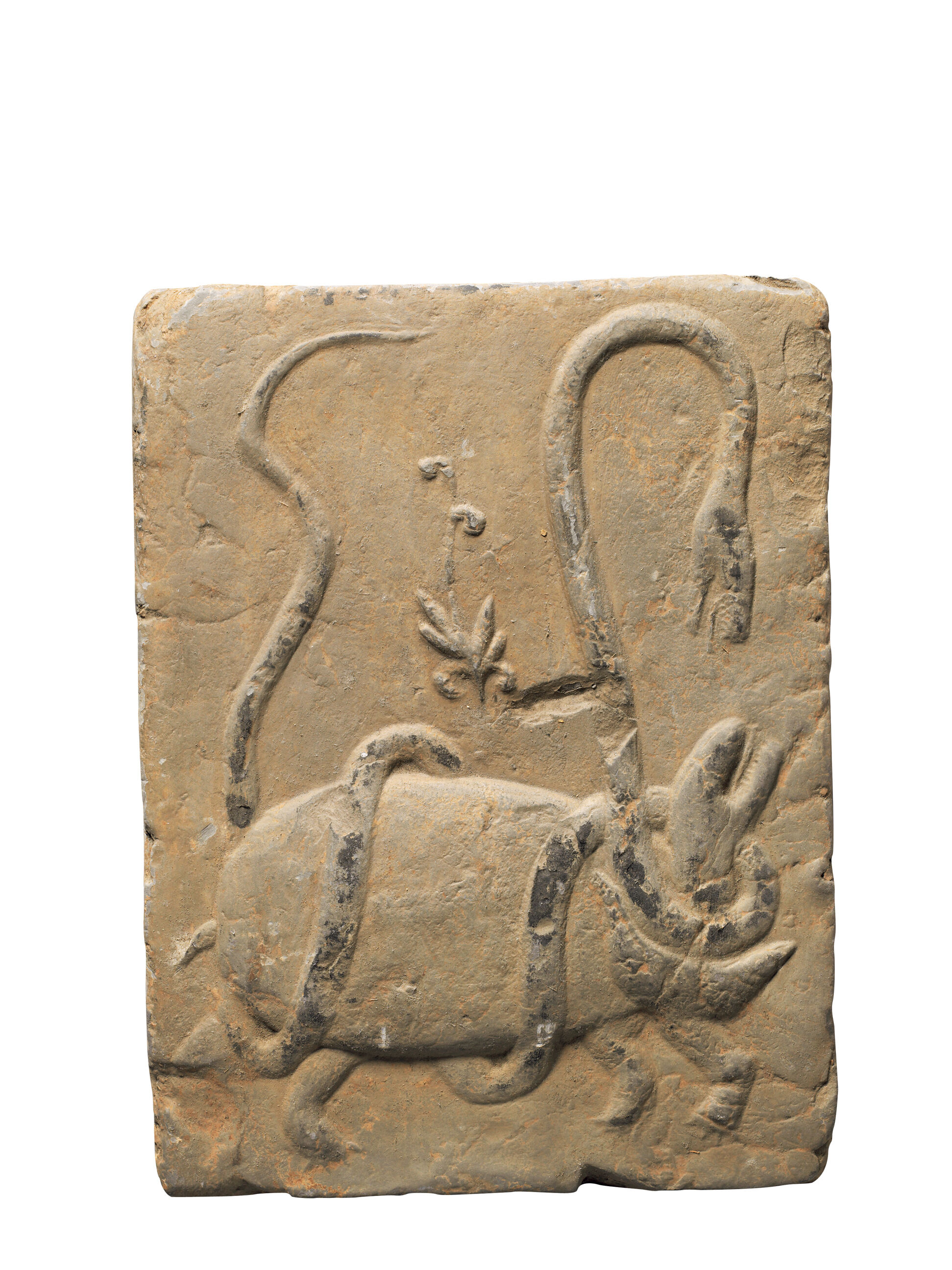 上古时期的四大神兽玄武,上古玄武神