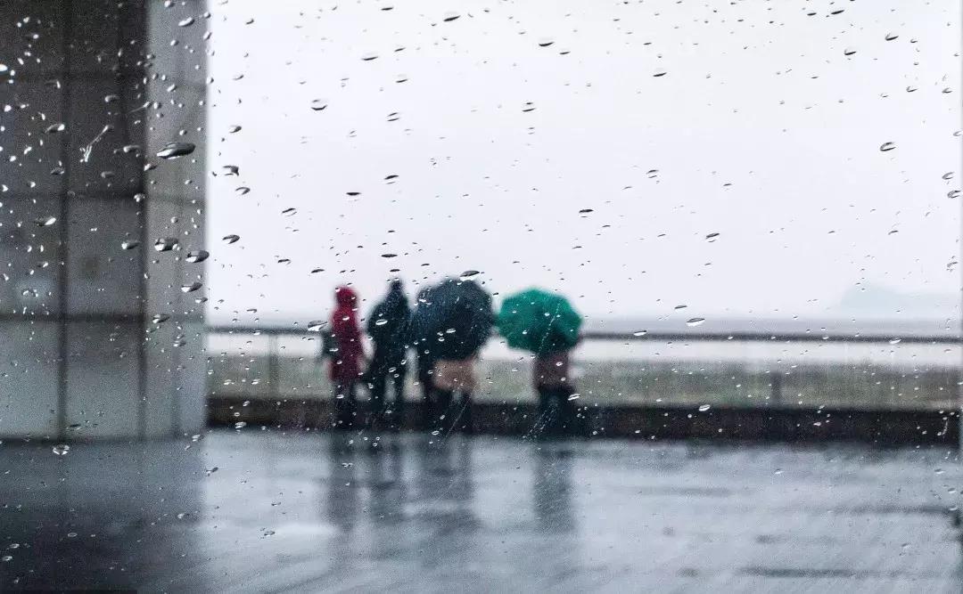 袜子裤头可以一起机洗吗,袜子裤子能一起洗吗