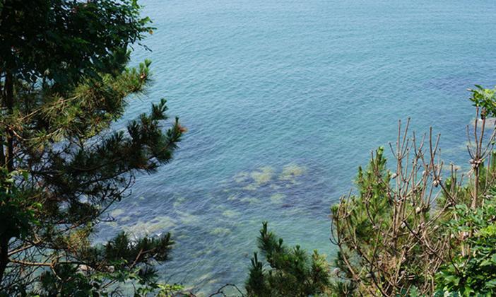 大连滨海路几月最美,大连最美季节