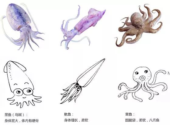 开课啦相关视频,开课啦完整版