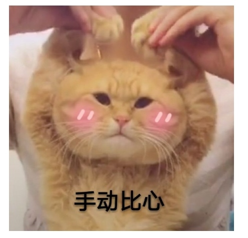 饭圈xswl什么意思,饭圈xswl是什么意思