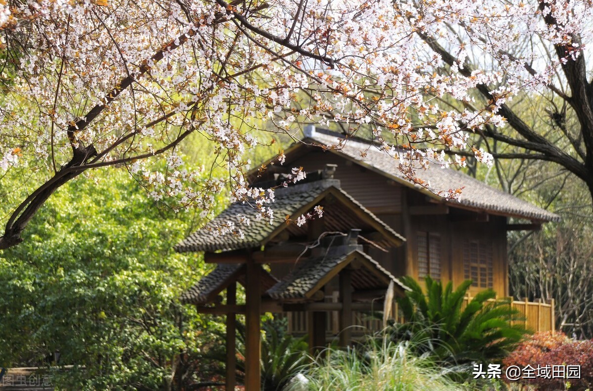 乡村民宿康养模式,民宿康养新思路