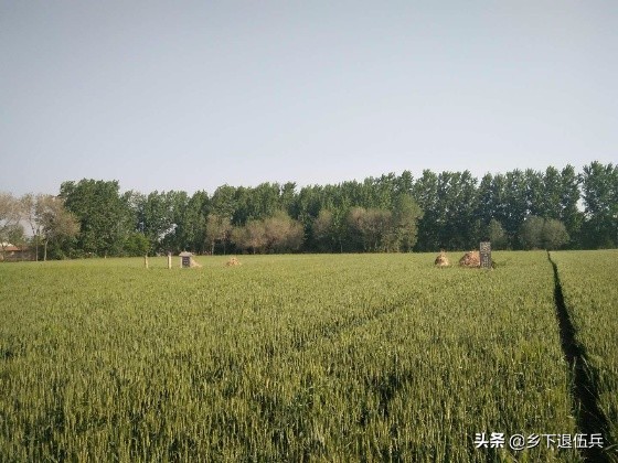 农村承包地里坟头多、难耕种,咋办?听听专业律师怎么说。