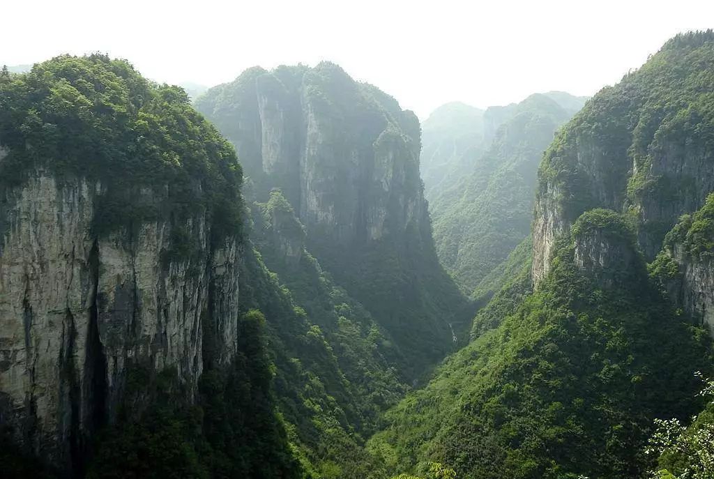 葛王佑保(中英双语)