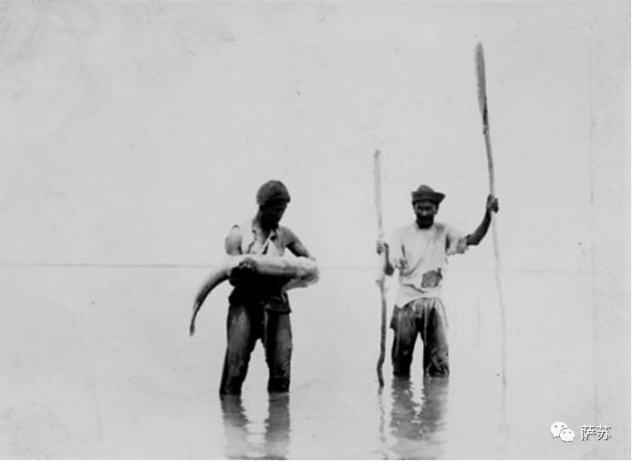 鎭愰緳鏃朵唬鏈夋矙婕犱箞,鎭愰緳鍙插墠鏃朵唬娌欐紶