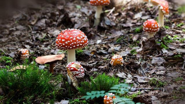 十二星座讨厌天秤的表现,十二星座不喜欢你表现天秤