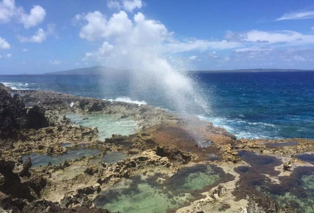 鲁滨逊漂流记荒岛生存指南,鲁滨逊漂流记惊险刺激及求生方法