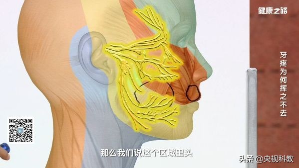 如何短时间内治疗牙疼,牙疼找不到具体疼的地方怎么治疗